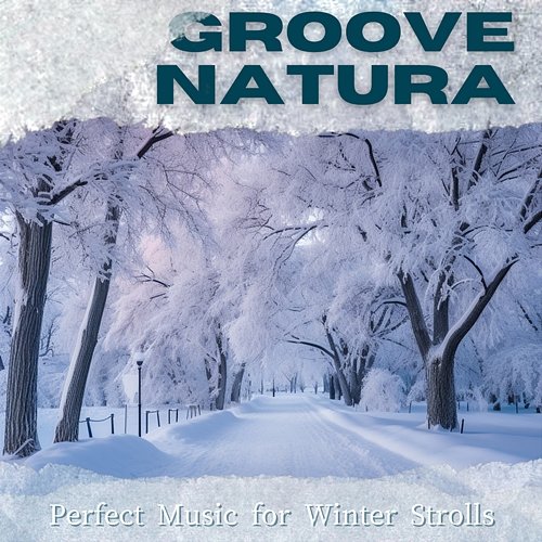 Perfect Music for Winter Strolls Groove Natura