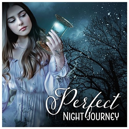 Perfect Night Journey: More Content, Nightly Ritual, Delightful Soundscapes, Dreamy Dimension, Easy-Going Bedtime Songs Sanctuary