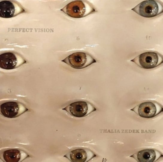 Perfect Vision Thalia Zedek Band
