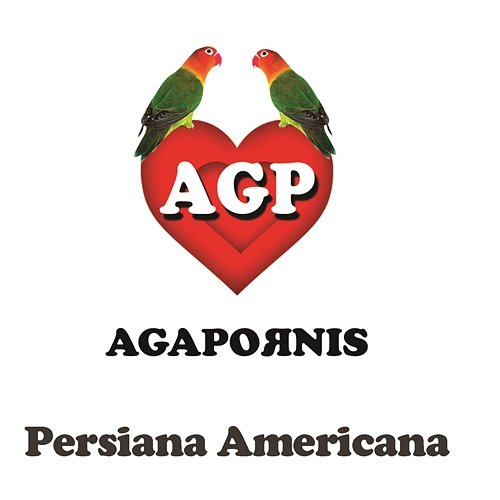 Persiana Americana Agapornis