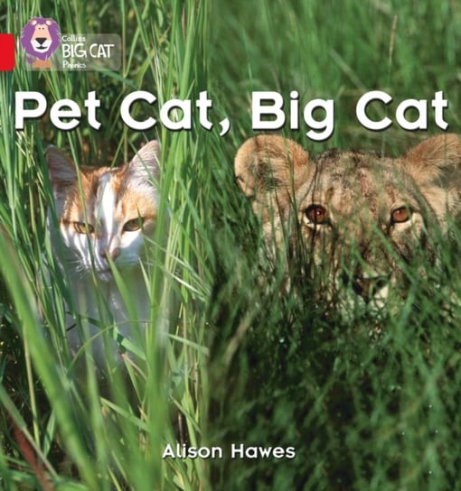 Pet Cat, Big Cat: Band 02aRed a Hawes Alison
