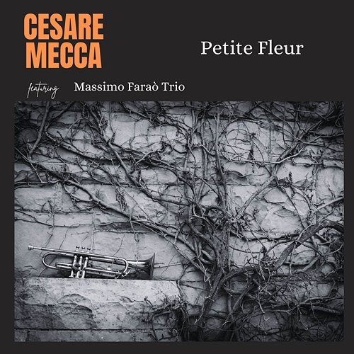 Petit Fleur Cesare Mecca & Massimo Faraò Trio