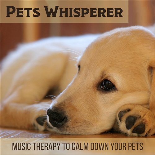 Pets Whisperer: Music Therapy to Calm Down Your Pets, Stress Relief, Relaxing Medication, Calm Dog and Cat Calm Pets Music Academy