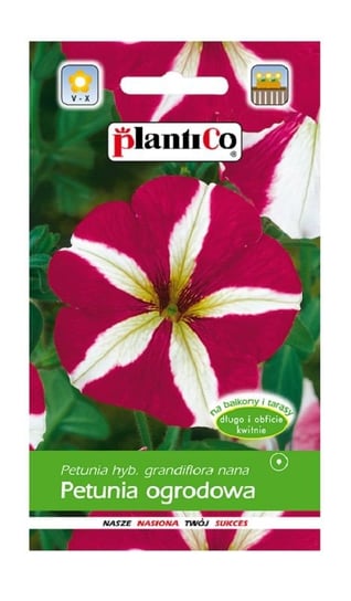 Petunia ogrodowa biało-czerwona 0,05 g Plantico PlantiCo