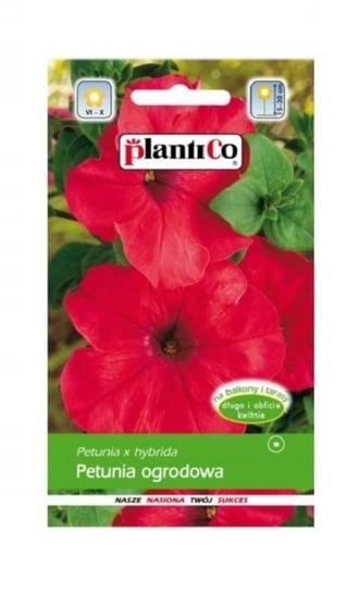 Petunia ogrodowa Karo 0,05 g Plantico Inna marka