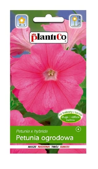 Petunia ogrodowa różowa Bajka 0,05 g Plantico Inna marka