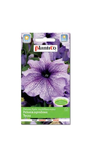 Petunia ogrodowa Tęcza 0,05 g Plantico PlantiCo