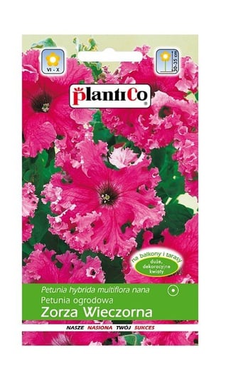 Petunia ogrodowa Zorza Wieczorna 0,05 g Plantico Inna marka