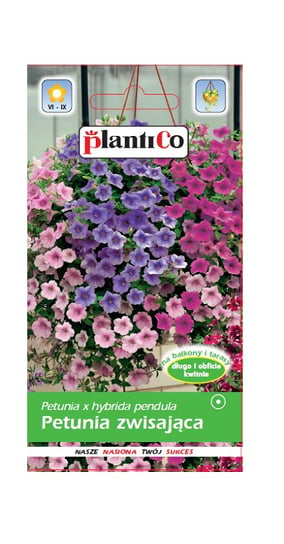 Petunia ogrodowa zwisająca mix 0,05 g Plantico Inna marka