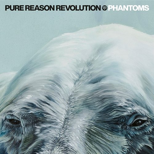 Phantoms Pure Reason Revolution