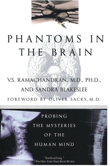 Phantoms in the Brain Ramachandran V. S.