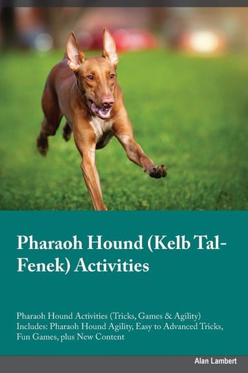 Pharaoh Hound Kelb Tal-Fenek Activities Pharaoh Hound Activities (Tricks, Games & Agility) Includes Rees Paul