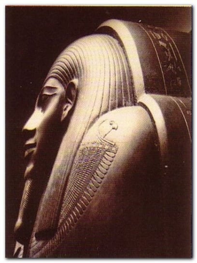 Pharaoh plakat obraz 45x50cm Wizard+Genius
