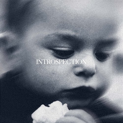 PHASE 2 – INTROSPECTION Moken