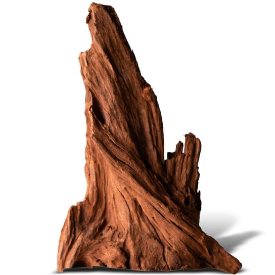Philippines Classic Driftwood - Drzewo Mangrowca Z Wody S Ok.20Cm Inna marka