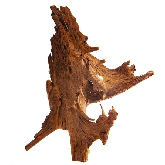 Philippines Classic Driftwood - Drzewo Mangrowca Z Wody Xl 40Cm - 50Cm TERRARIO