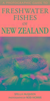 Photographic Guide to Freshwater Fishes of New Zealand Mcqueen Stella