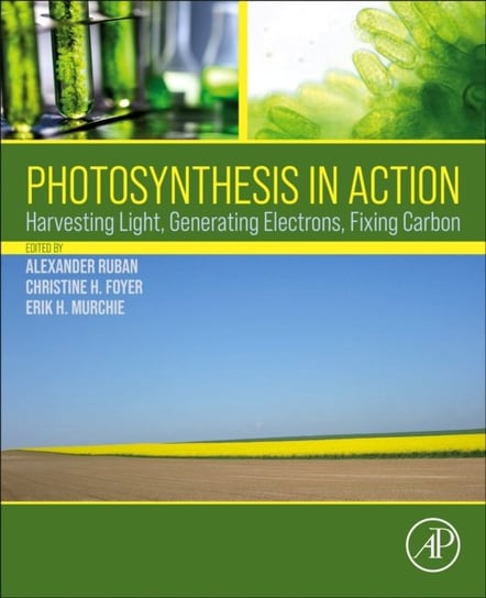 Photosynthesis in Action. Harvesting Light, Generating Electrons, Fixing Carbon Opracowanie zbiorowe