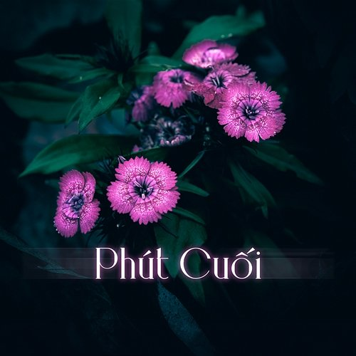 Phút Cuối Hằng Han