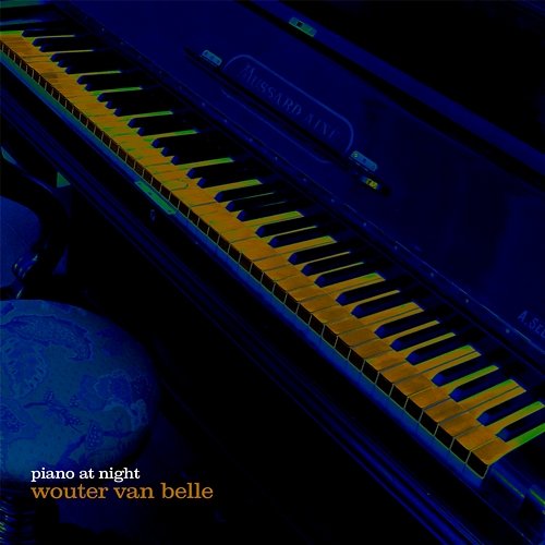 Piano At Night WOUTER VAN BELLE