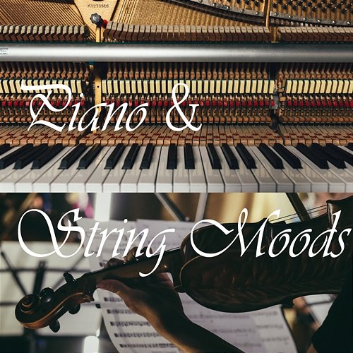 Piano & String Moods Rea Meir