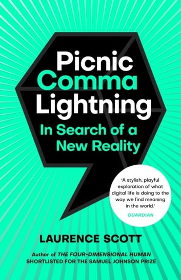 Picnic Comma Lightning: In Search of a New Reality Scott Laurence