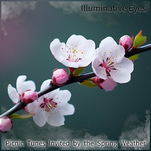 Picnic Tunes Invited by the Spring Weather Illuminative Eyes