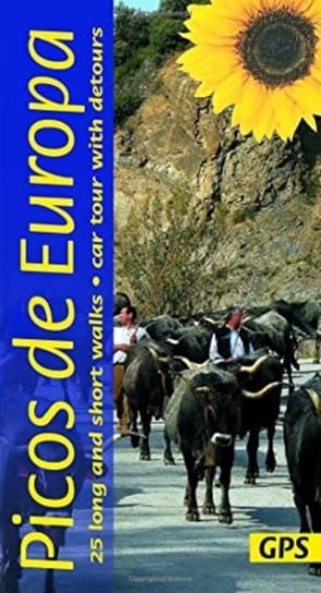 Picos de Europa Guide: 25 long and short walks with detailed maps and GPS; car tour with pull-out ma Teresa Farino
