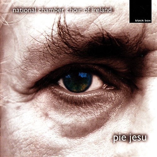 Victory: Songs from Lyonnesse - Afterwards National Chamber Choir Of Ireland
