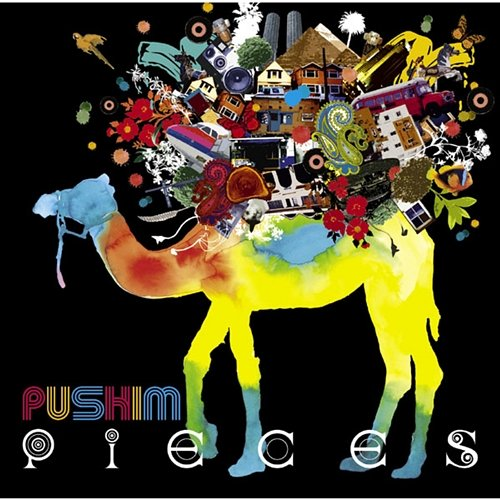 Pieces Pushim