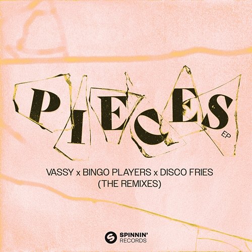 Pieces VASSY x Bingo Players x Disco Fries