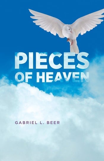 Pieces of Heaven Beer Gabriel L.