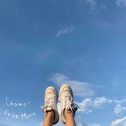 Piensas en mi // Pienso en ti Chamo feat. Fede Marín