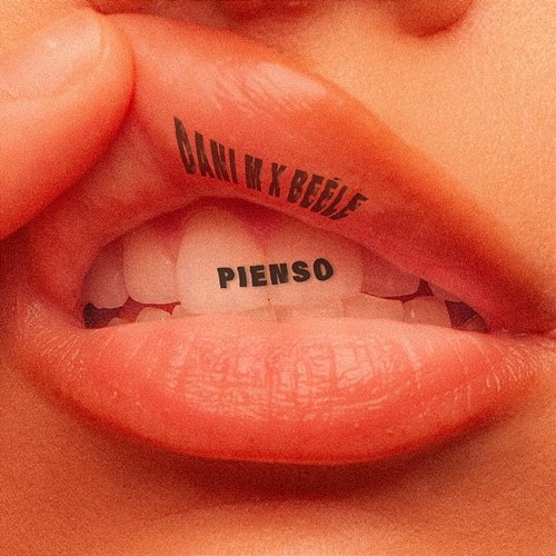 PIENSO Dani M, Beéle