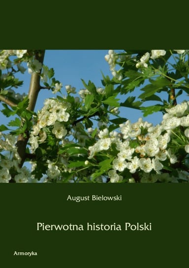 Pierwotna historia Polski Bielowski August