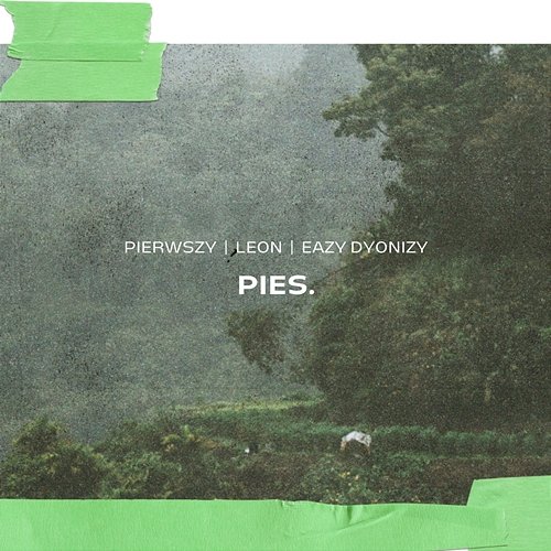 Pies. Pierwszy