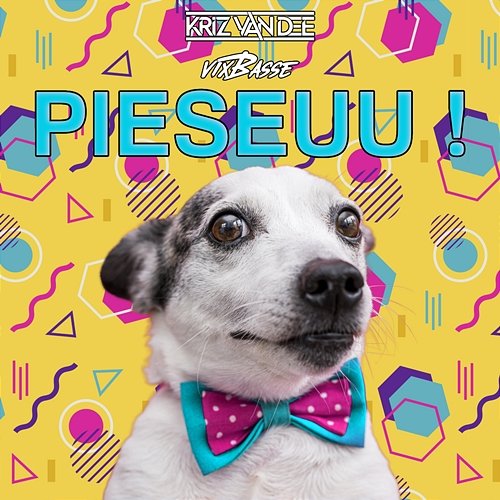 Pieseuu ! KriZ Van Dee, VixBasse