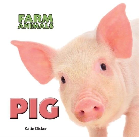 Pig Katie Dicker