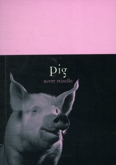 Pig Brett Mizelle