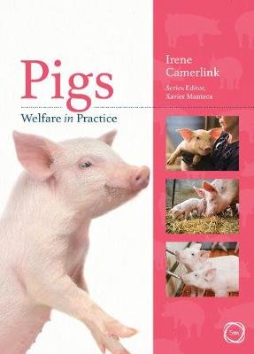 Pigs Welfare in Practice Irene Camerlink