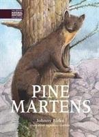 Pine Martens Birks Johnny