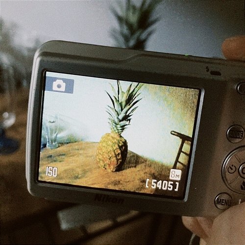 Pineapple Uilou