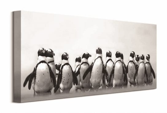 Pingwinie stado - obraz na płótnie Inna marka