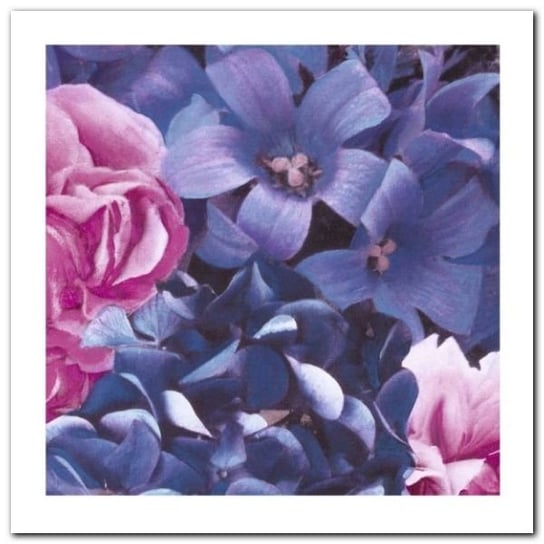 Pink And Blue Flowers plakat obraz 30x30cm Wizard+Genius