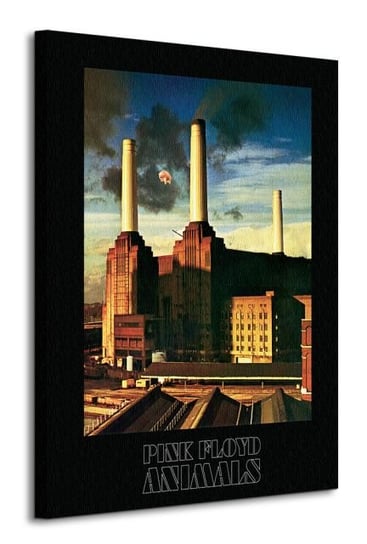 Pink Floyd Animals - obraz na płótnie Pyramid International