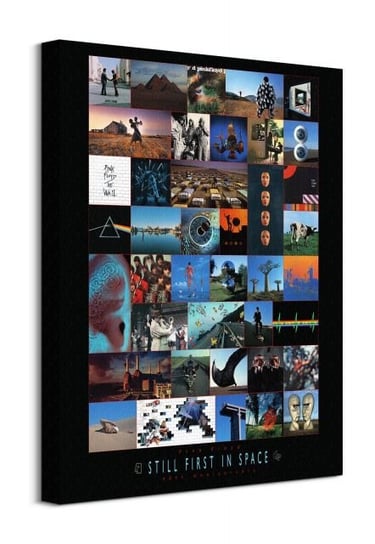 Pink Floyd Anniversary - obraz na płótnie Pyramid International