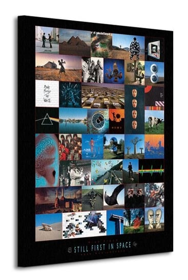 Pink Floyd Anniversary - obraz na płótnie Pyramid International