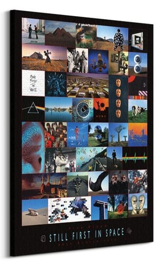 Pink Floyd Anniversary - Obraz na płótnie Pyramid International