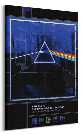 Pink Floyd Dark Side Of The Moon 30th Anniversary - Obraz na płótnie Pyramid International