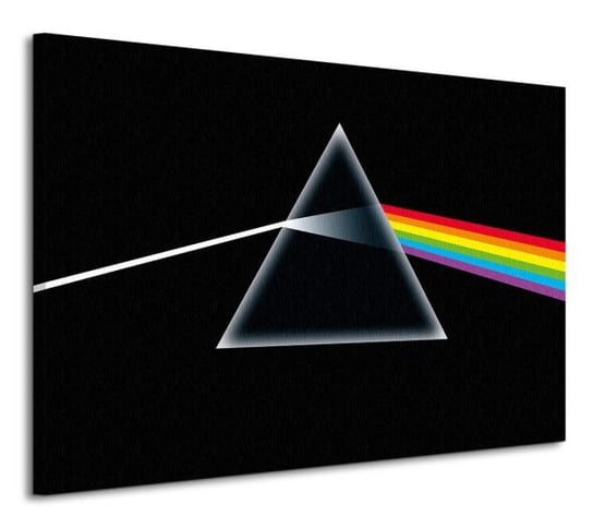 Pink Floyd Dark Side Of The Moon - Obraz na płótnie Pyramid International